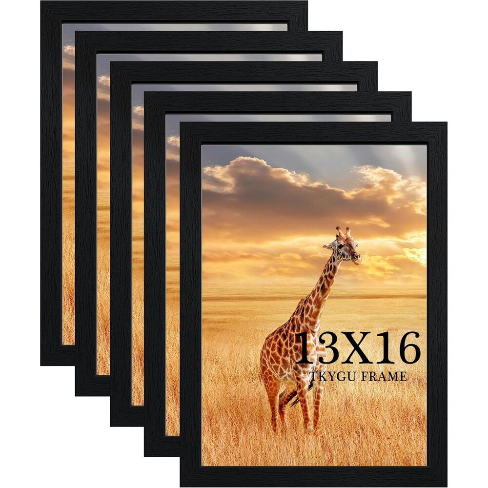 New In Box Set of 5 13x16 Matching Black Frames Shatterproof